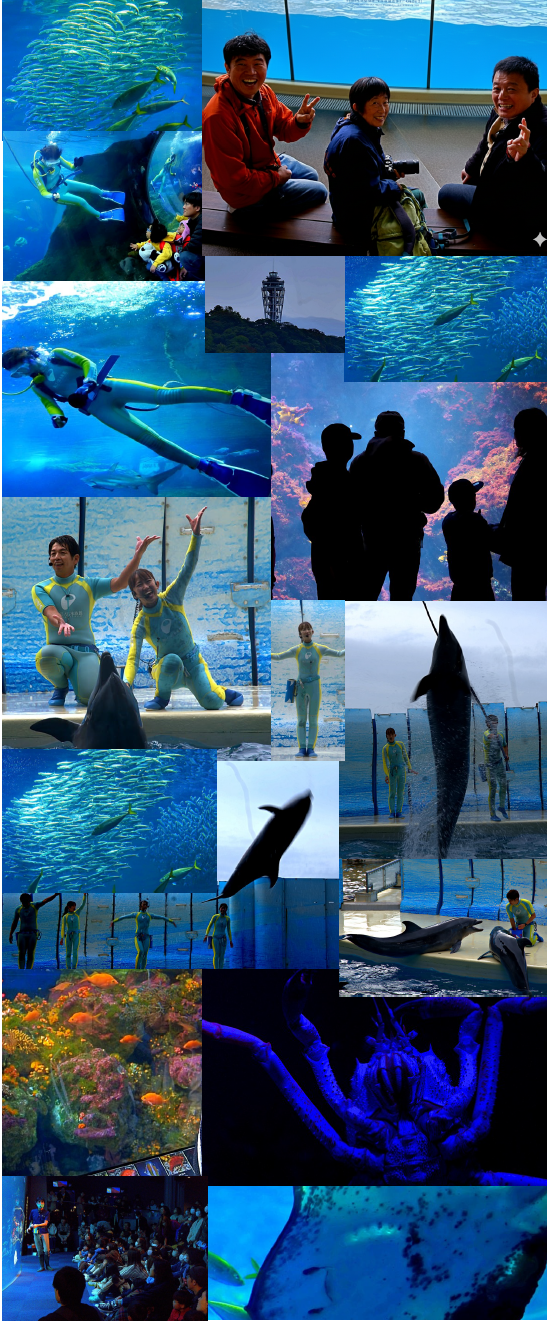 enoshima_aquarium.png(1406005 byte)