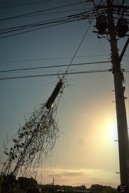 キャプション09