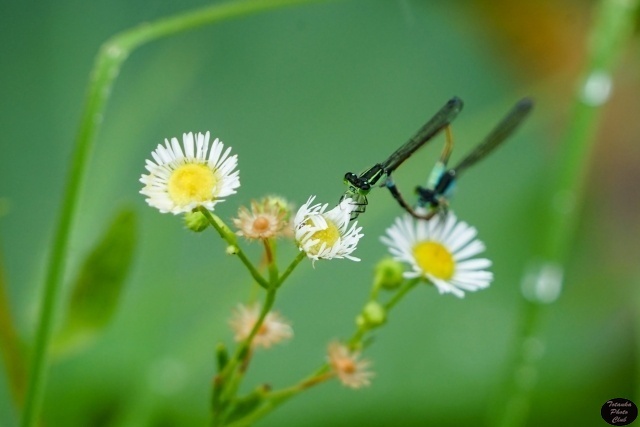 キャプション02