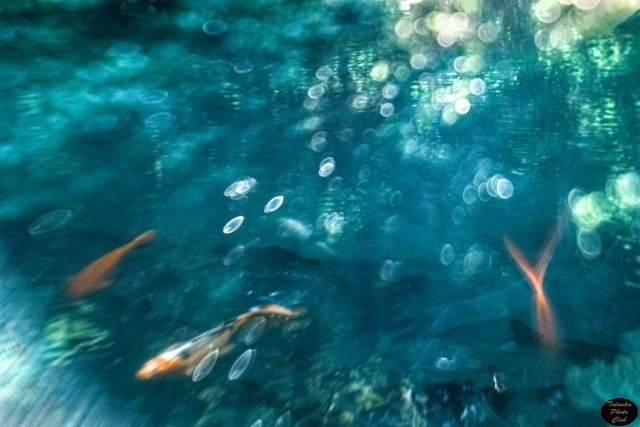 キャプション04